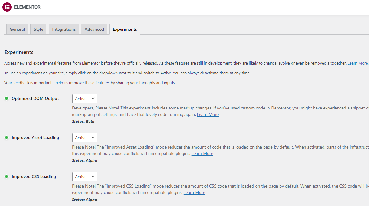 图片[2]-Elementor 字体设置保存无效？检查是否开启了优化字体加载功能
