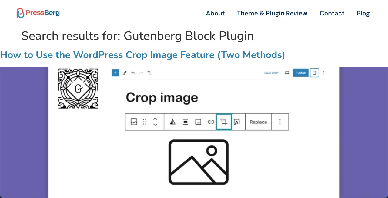 图片[34]-使用 Elementor Pro 创建 WordPress 自定义搜索结果页面