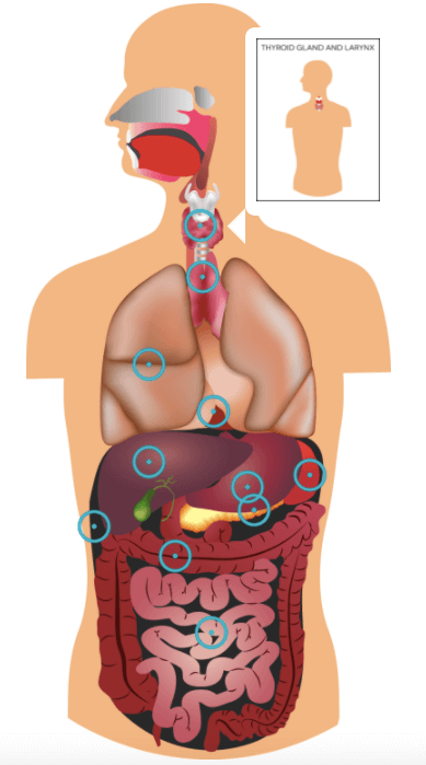 图片[14]-Elementor 图像热点教程：让图片变得更有信息感
