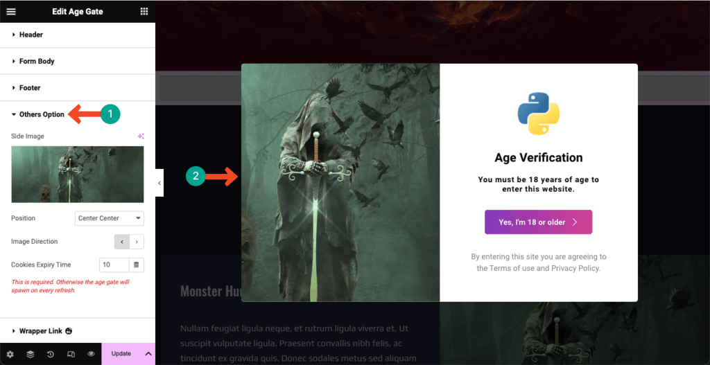 Image [11]-Elementor Tutorial: Adding Age Verification to WordPress