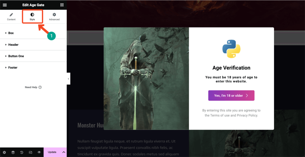Image [13]-Elementor Tutorial: Adding Age Verification to WordPress