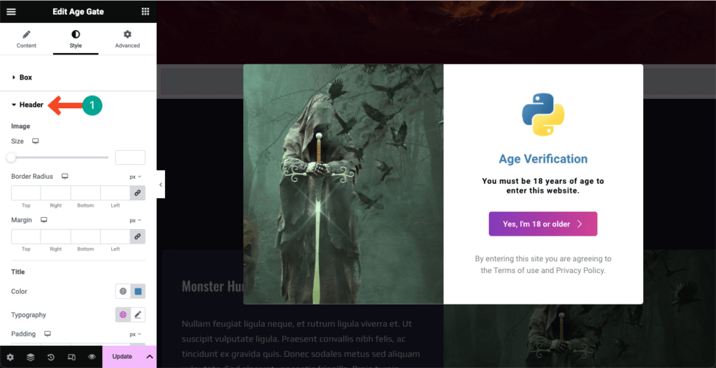 Image [15]-Elementor Tutorial: Adding Age Verification to WordPress
