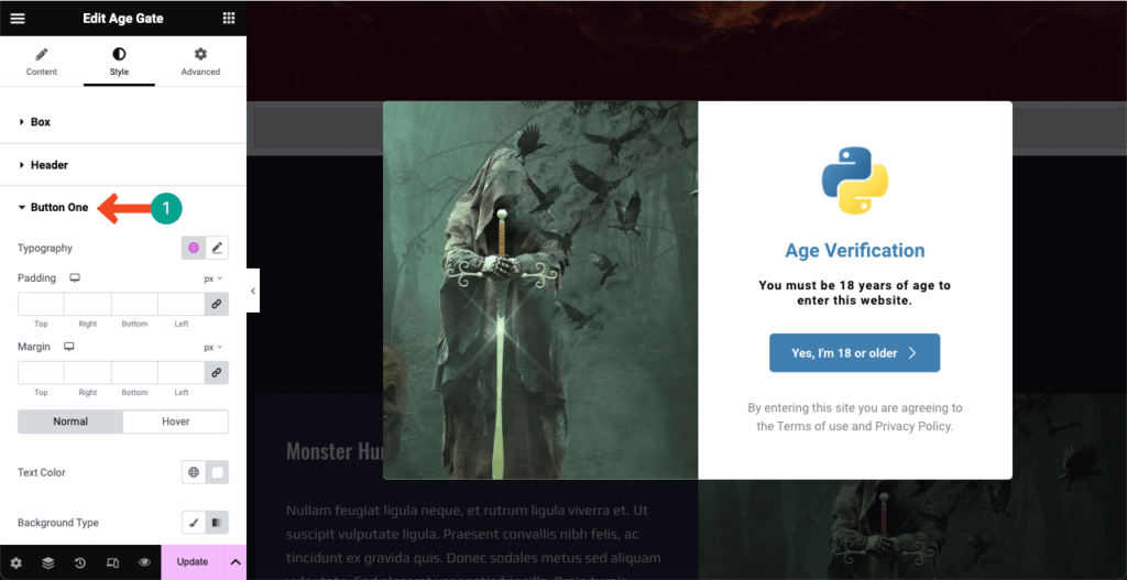 Image [16]-Elementor Tutorial: Adding Age Verification to WordPress