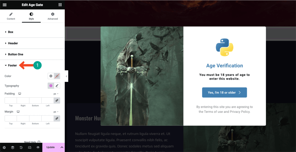 Image [17]-Elementor Tutorial: Adding Age Verification to WordPress
