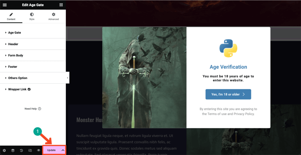 Image [19]-Elementor Tutorial: Adding Age Verification to WordPress
