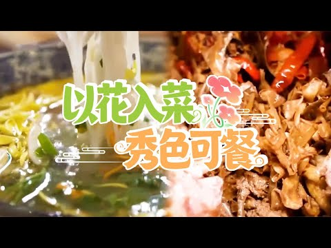 Image [5]-How does YouTube Shorts' algorithmic recommendation mechanism affect earnings performance? A Comprehensive Analysis and Practical Strategies