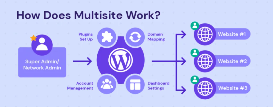图片[1]-WordPress 多站点功能全面解析与应用场景