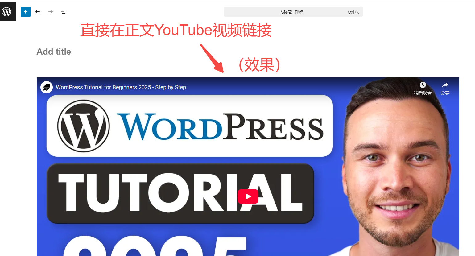 图片[8]-WordPress 视频上传与嵌入指南：支持本地、YouTube 与 Vimeo