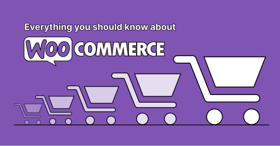 How to Enable CDN Acceleration for WooCommerce Store to Boost Loading Speed