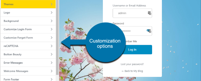 图片[6]-自定义 Astra 登录地址，提升安全性与品牌感