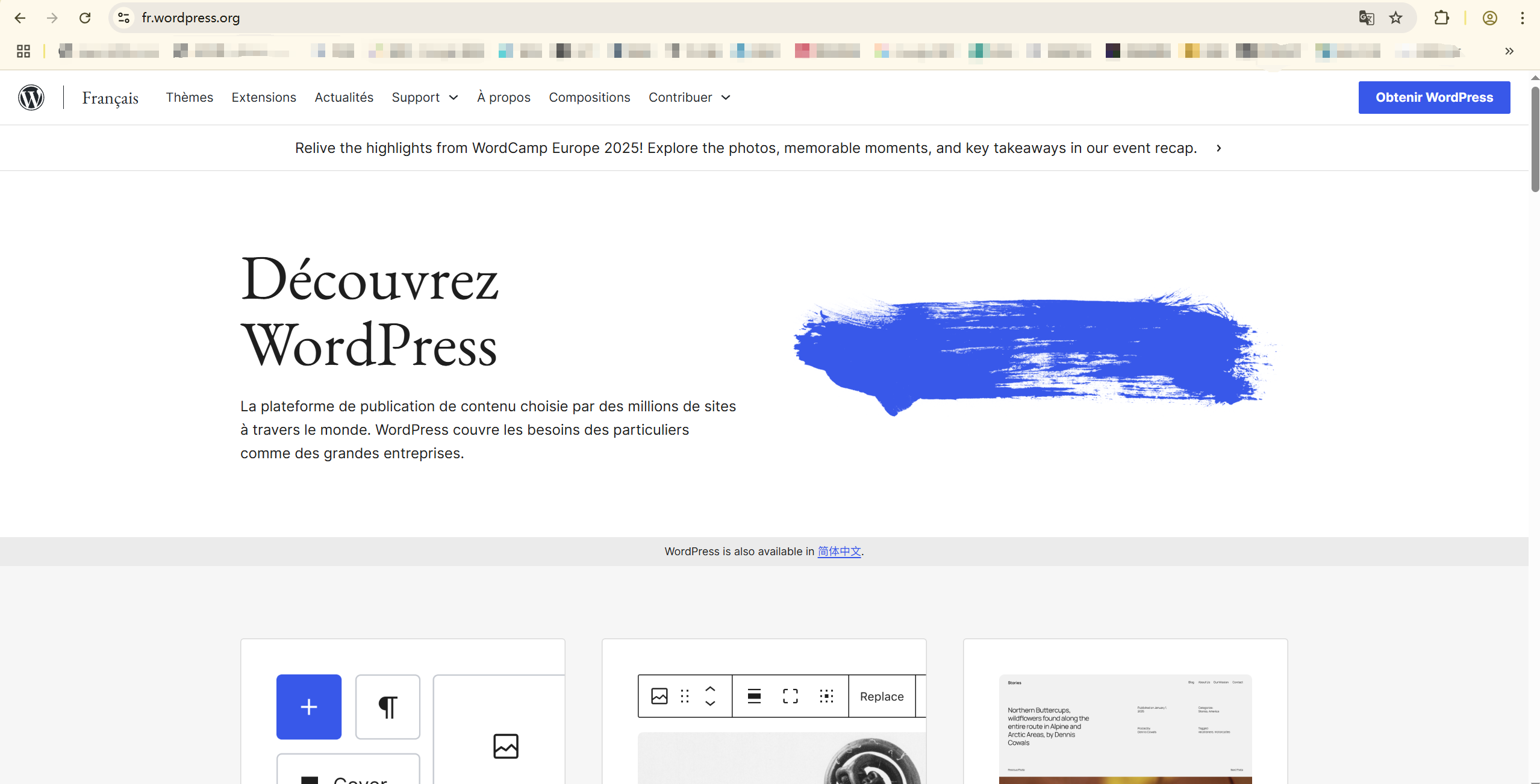 图片[9]-使用不同域名和子域名构建国际化 WordPress 网站