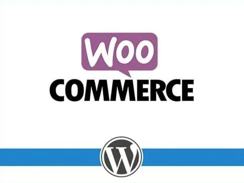 画像[5] - WordPressウェブサイト構築コスト分析：2025年の個人ウェブサイト構築予算