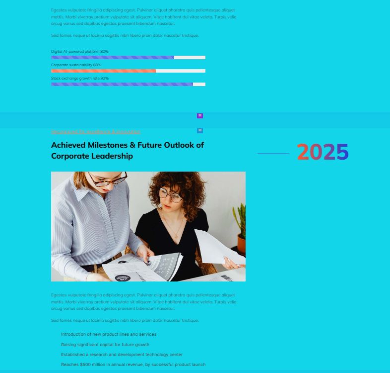 图片[12]-如何自定义 Avada 时间轴颜色样式