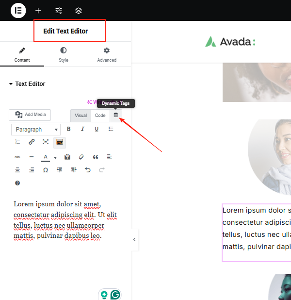 图片[11]-如何使用免费 Elementor 模板制作个人作品集