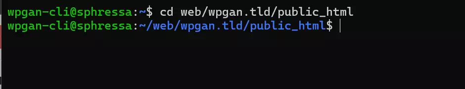 图片[2]-使用 WP-CLI 安装和管理 WordPress 插件的完整指南