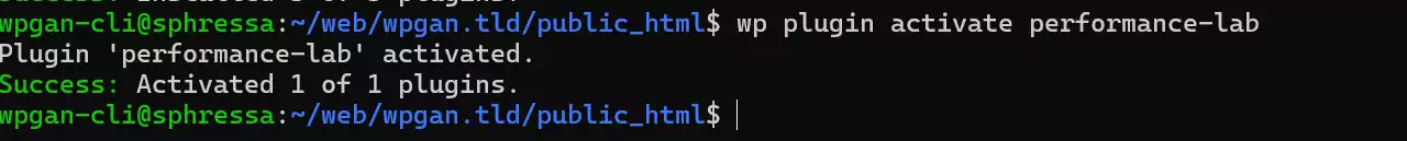 图片[6]-使用 WP-CLI 安装和管理 WordPress 插件的完整指南