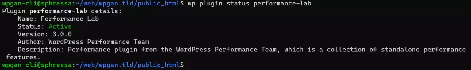 图片[8]-使用 WP-CLI 安装和管理 WordPress 插件的完整指南