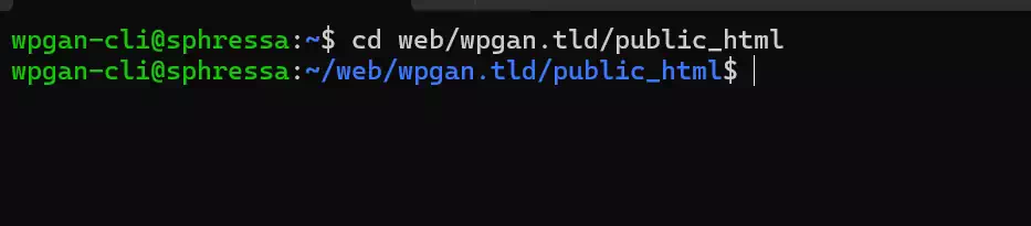 图片[2]-WP-CLI 安装 WordPress 主题完整教程
