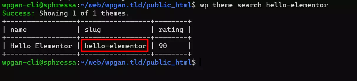 图片[3]-WP-CLI 安装 WordPress 主题完整教程
