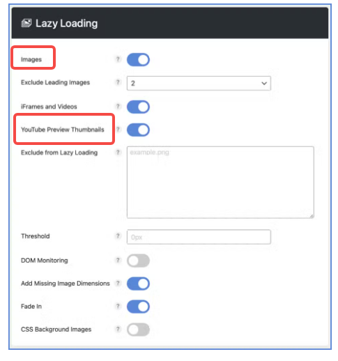 图片[5]-Perfmatters 价格、功能与授权方案详解