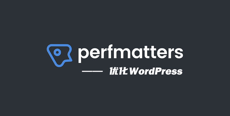 Perfmatters 价格、功能与授权方案详解-光子波动网 | 专业WordPress修复服务，全球范围，快速响应