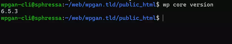 图片[3]-如何使用 WP-CLI 降级 WordPress 版本