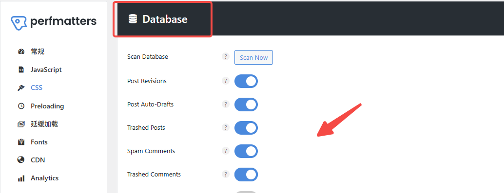 图片[8]-如何使用 Perfmatters 提升 WordPress 网站加载速度？