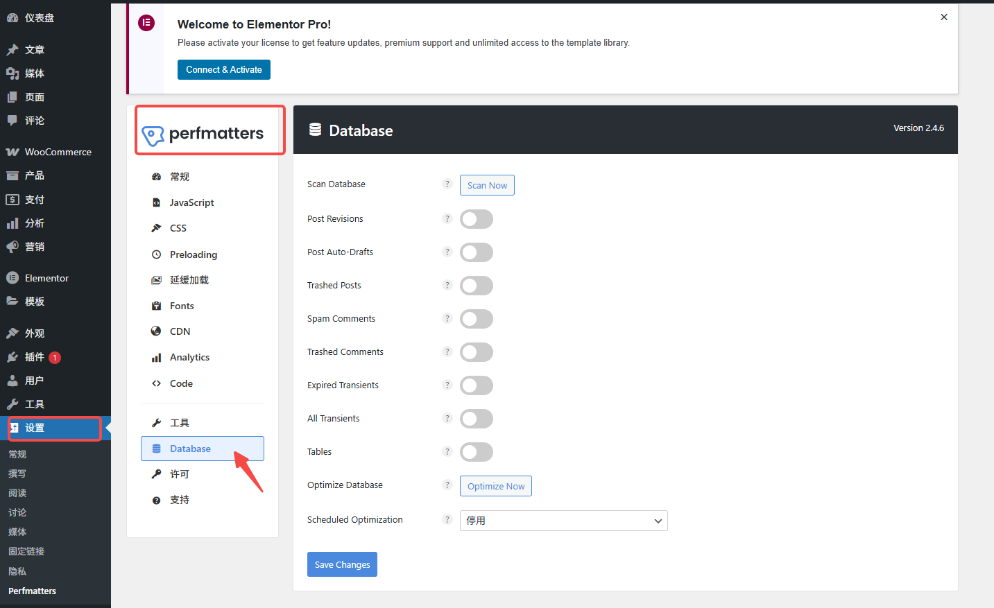 Imagen [3]-Tutorial de optimización de bases de datos Perfmatters: explicación de funciones y pasos de configuración