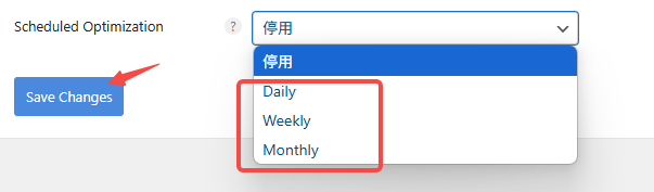 Imagen [5]-Tutorial de optimización de bases de datos Perfmatters: explicación de funciones y pasos de configuración