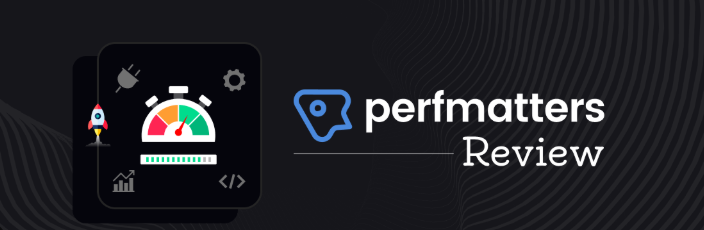 图片[5]-Perfmatters 适合哪些网站？WordPress 用户必读指南