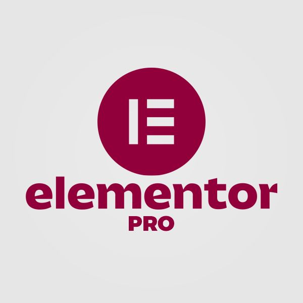 “Elementor Pro 破解版”真能省钱吗？背后的风险与隐性代价