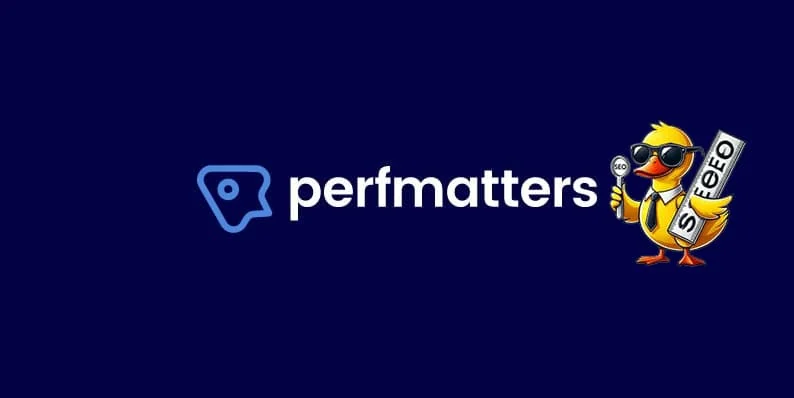 图片[1]-Perfmatters 搭配 Elementor 的性能优化最佳实践