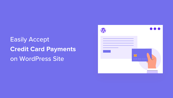 Image [13] - How to Integrate Stripe for Visa Card Online Payment in WordPress Website