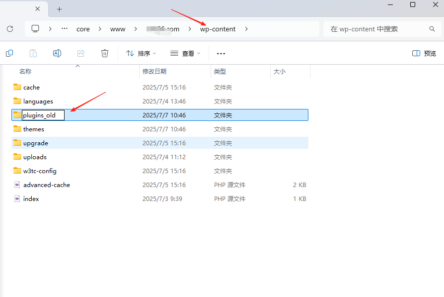 图片[2]-Elementor 编辑器报错500的排查与修复指南