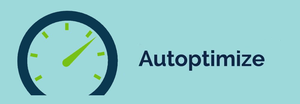 Imagen [9]-Astra Theme Website Speedup Essentials: 4 plugins gratuitos de optimización para WordPress recomendados