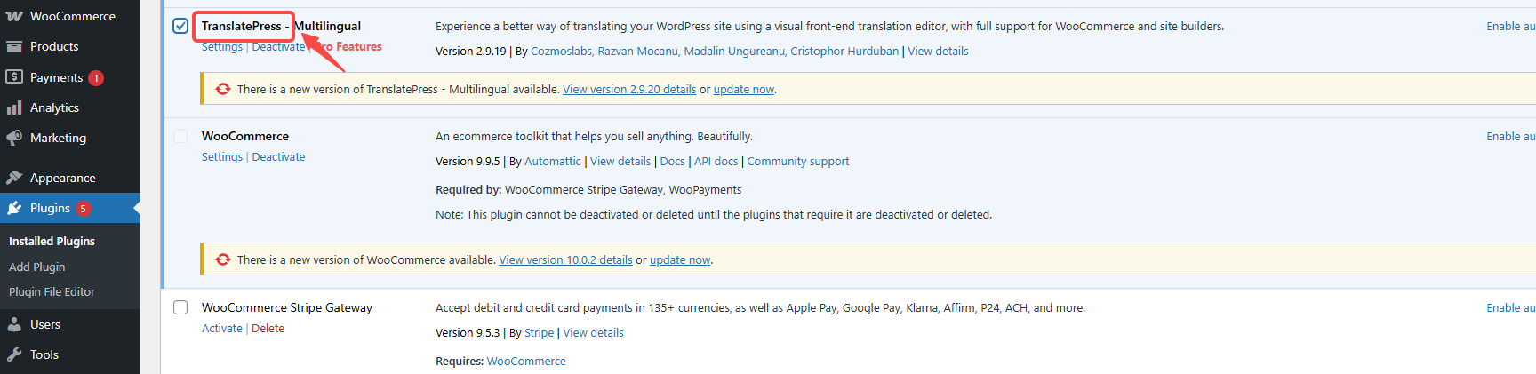 Imagen[4]-¿TranslatePress aparece desordenado? Preguntas frecuentes y soluciones