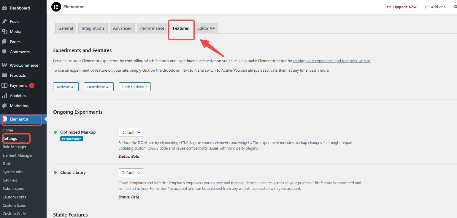 图片[2]-重磅揭秘！Kadence 主题能否完美兼容 Elementor Optimized Markup？答案让人意外！