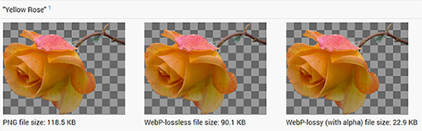 Images [6]-Enable WebP to optimize images and improve WordPress performance and PageSpeed scores!