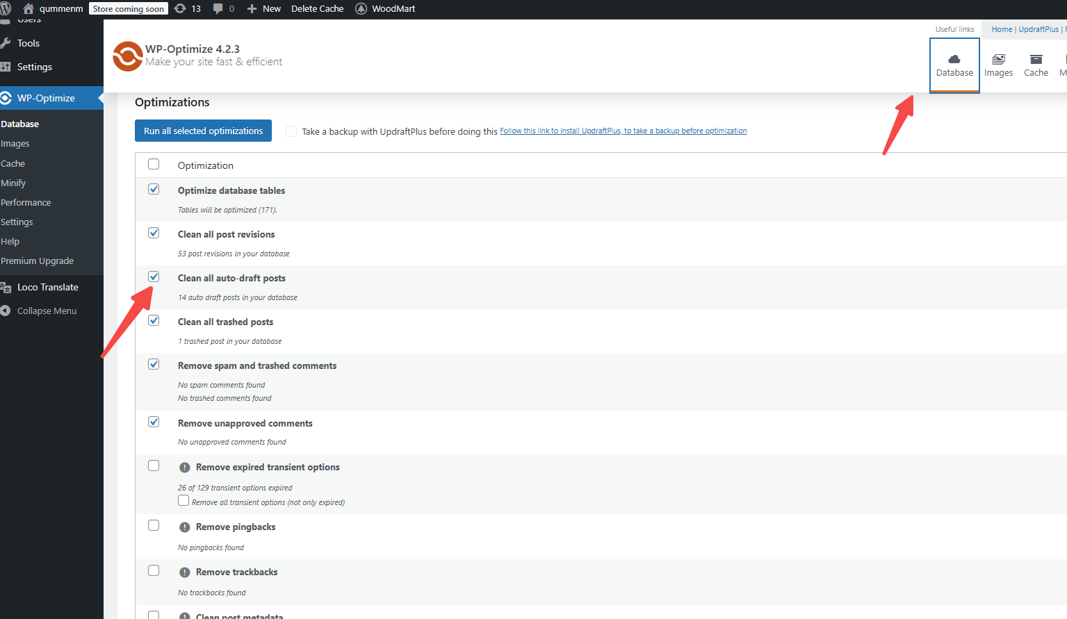 图片[3]-WP-Optimize 清理设置指南：防止误删内容的正确方法