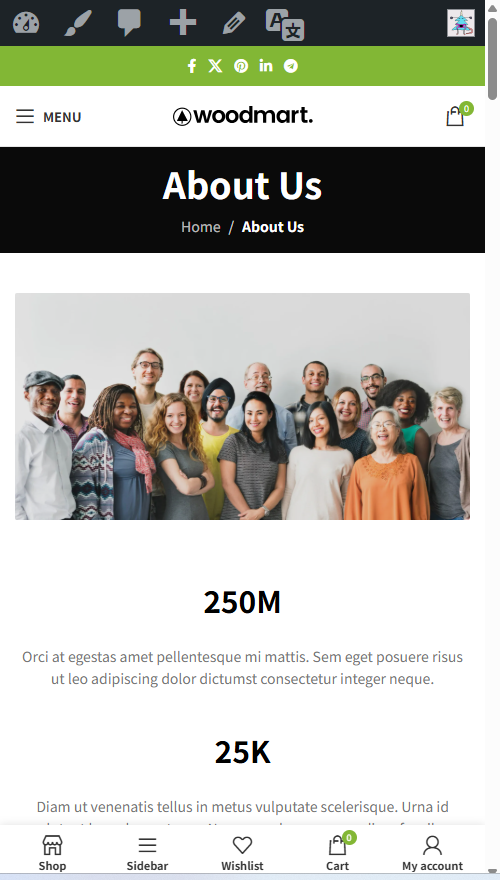 图片[2]-Woodmart 主题评测：五大核心优势助你高效打造电商网站