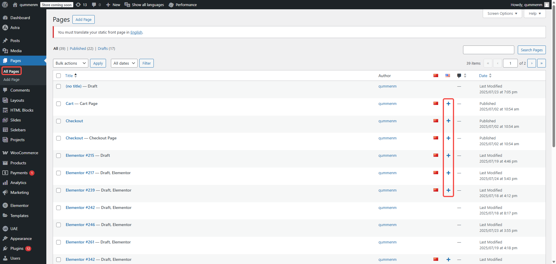 Image [9] - Comment utiliser Elementor avec Polylang pour mettre en place un site web WordPress multilingue