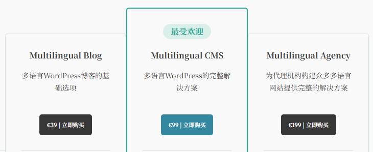 图片[3]-WPML自动翻译与手动翻译怎么选？功能差异与适用场景全对比
