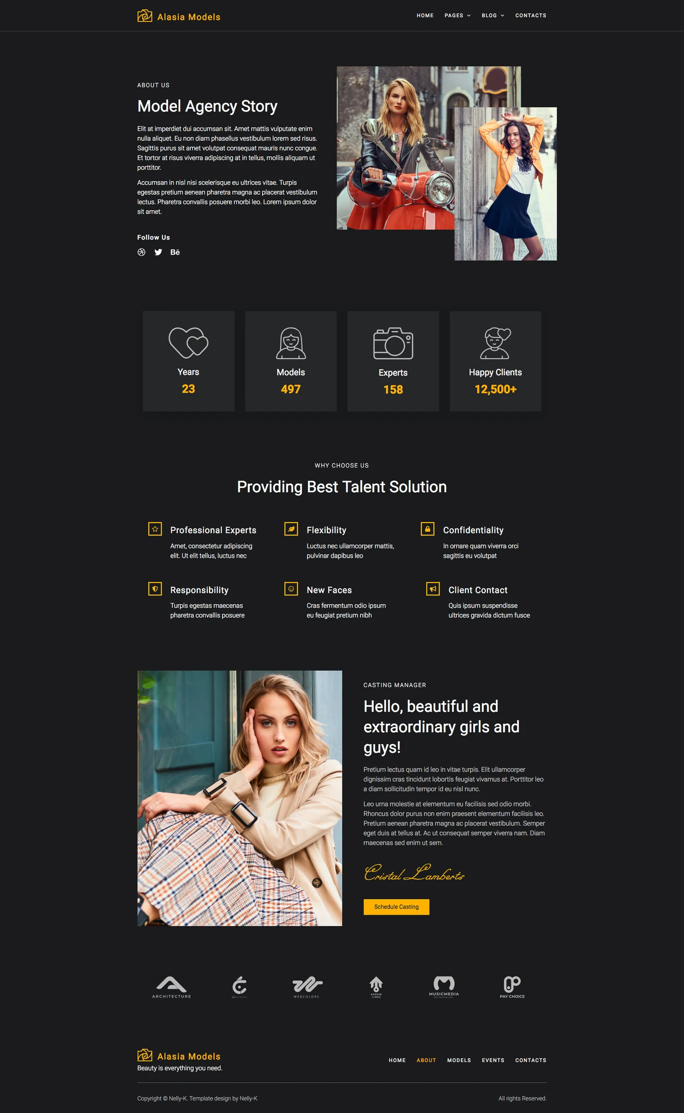 Imagen [2] - Alasia - Modelling Agency Elementor Template Suite - Photon Flux | Servicio profesional de reparación de WordPress, alcance global, respuesta rápida