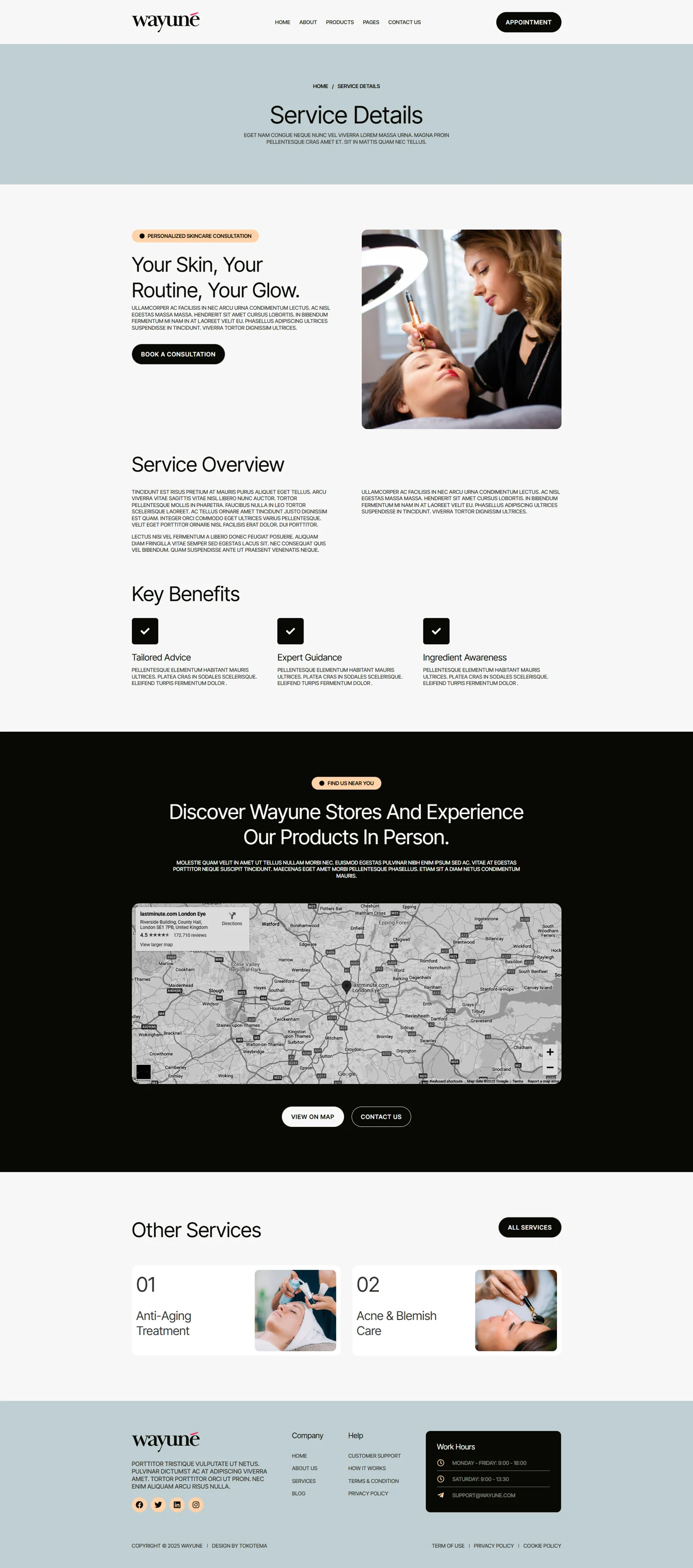 图片[1]-Wayune – 美妆护肤产品 Elementor 模板套件-光子波动网 | 专业WordPress修复服务，全球范围，快速响应