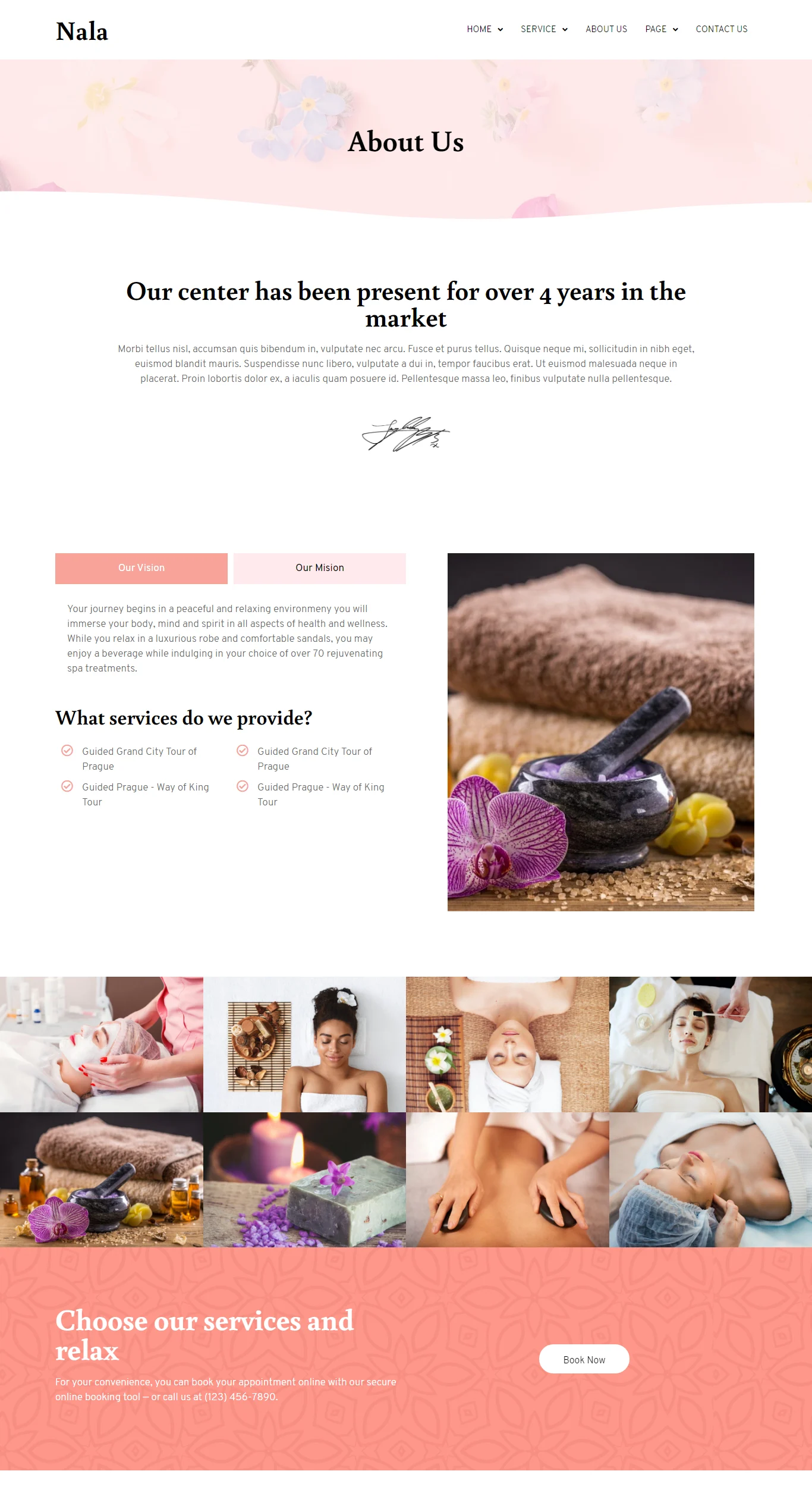 Image[1]-Nala - Beauty & SPA Elementor Template Kit - Photon Flux Network | Professional WordPress repair service, worldwide, fast response