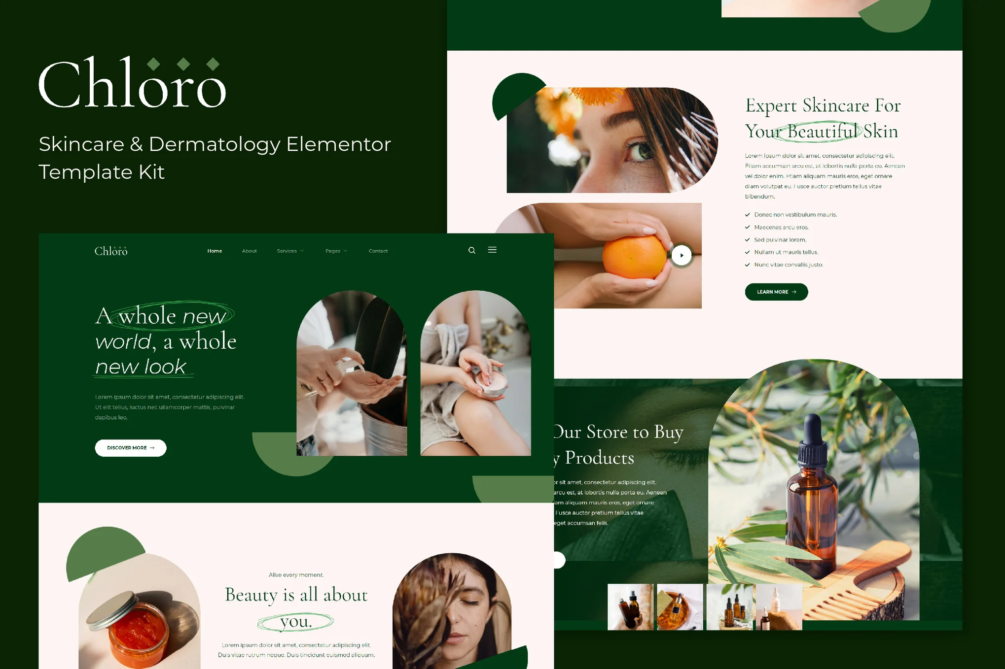 Chloro - Skin Care & Dermatology Elementor Template Suite - Photon Fluctuations | Servicio profesional de reparación de WordPress, alcance global, respuesta rápida