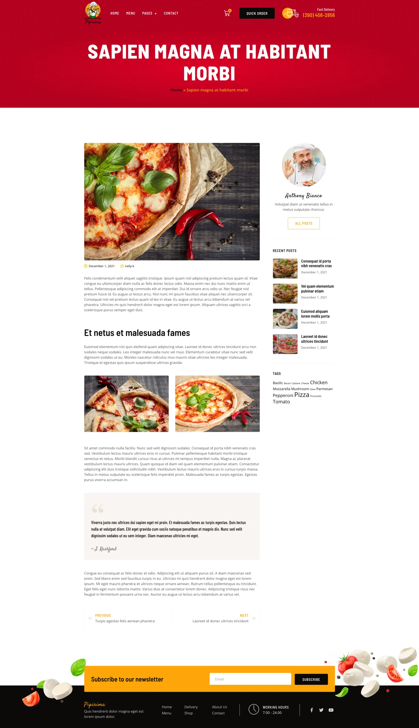 Image [1] - Pipirima - Pizza & Gourmet Delivery Elementor Template Suite - photonwave.com | Professional WordPress Repair Service, Global Reach, Fast Response