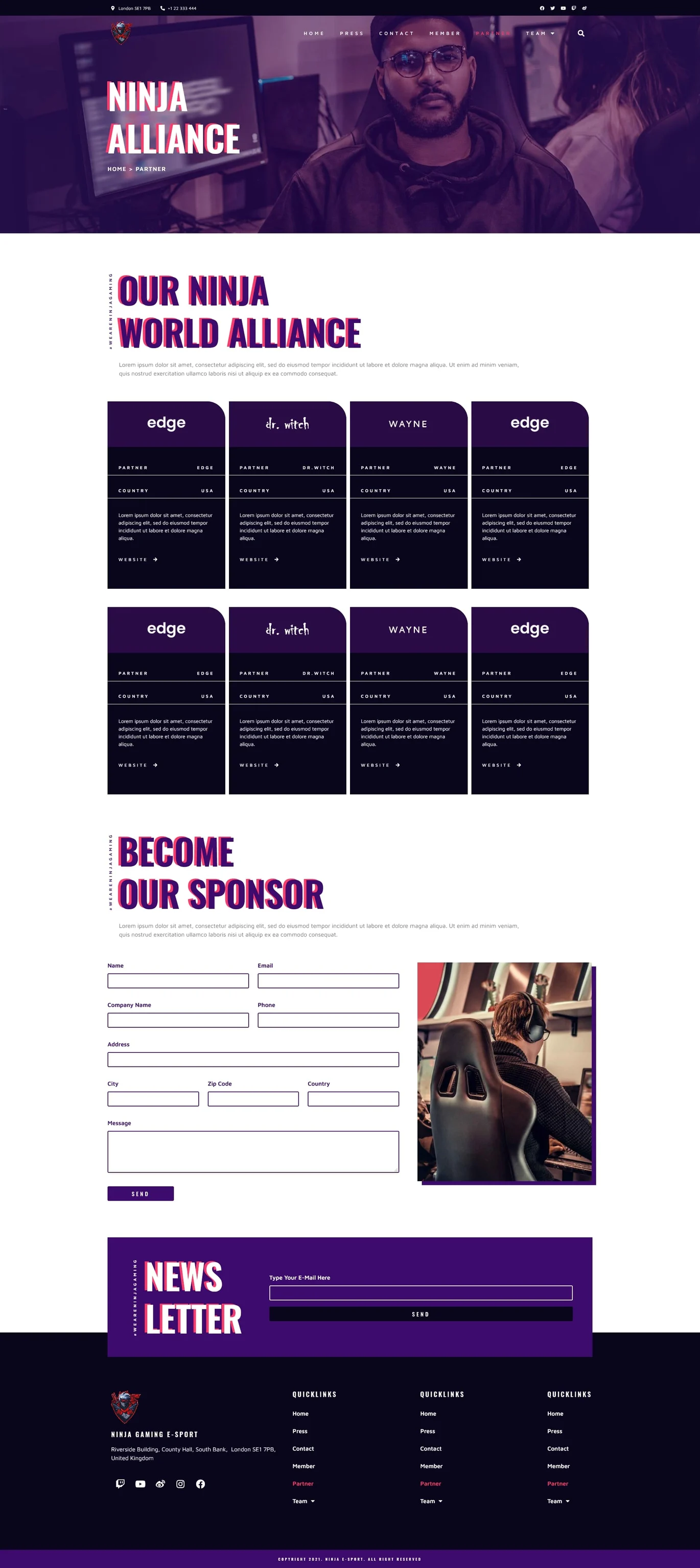 图片[1]-Ninja – 电竞与游戏 Elementor 模板套件-光子波动网 | 专业WordPress修复服务，全球范围，快速响应