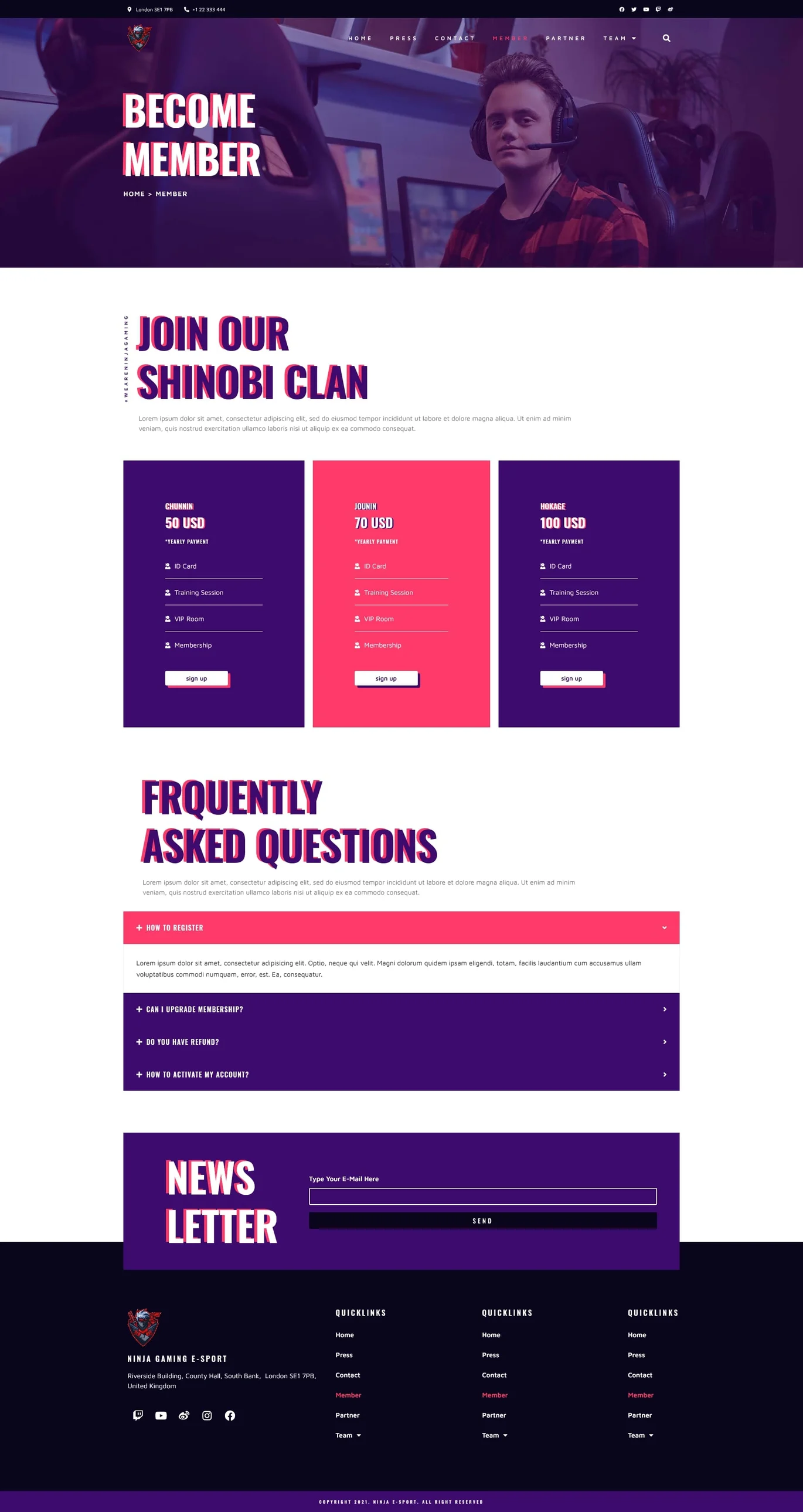 图片[2]-Ninja – 电竞与游戏 Elementor 模板套件-光子波动网 | 专业WordPress修复服务，全球范围，快速响应