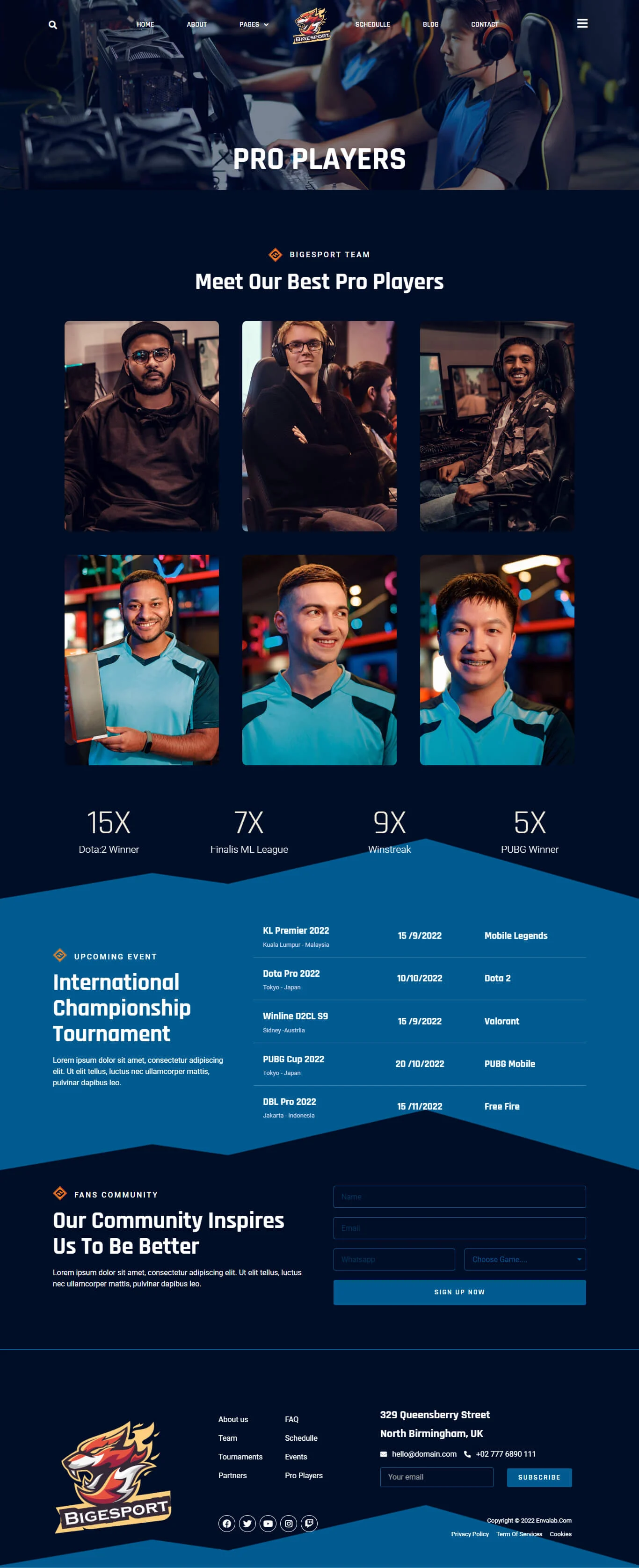 图片[1]-Bigesport – 电竞与游戏团队 Elementor 模板套件-光子波动网 | 专业WordPress修复服务，全球范围，快速响应